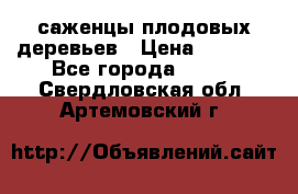 саженцы плодовых деревьев › Цена ­ 6 080 - Все города  »    . Свердловская обл.,Артемовский г.